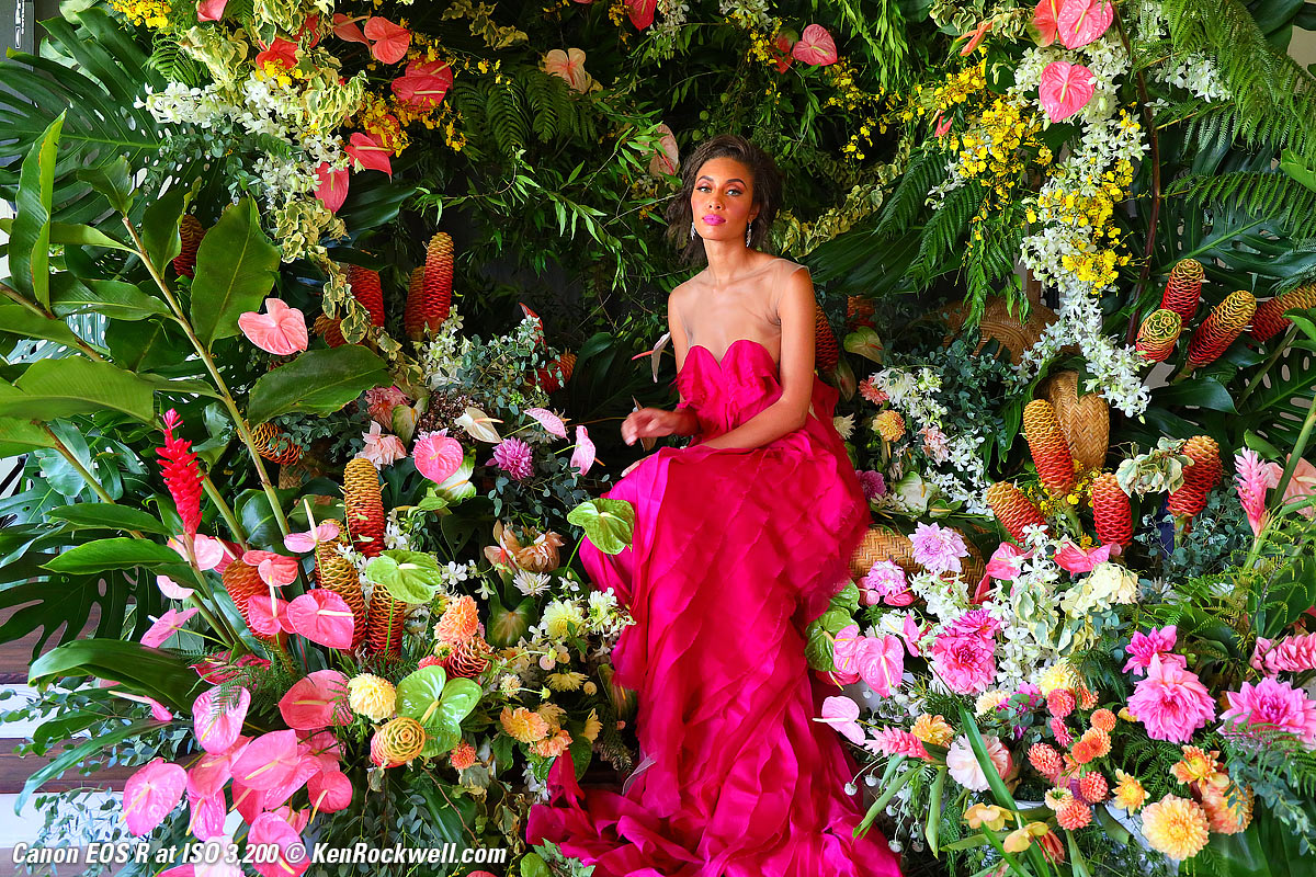 Canon EOS R High ISO Sample Image File