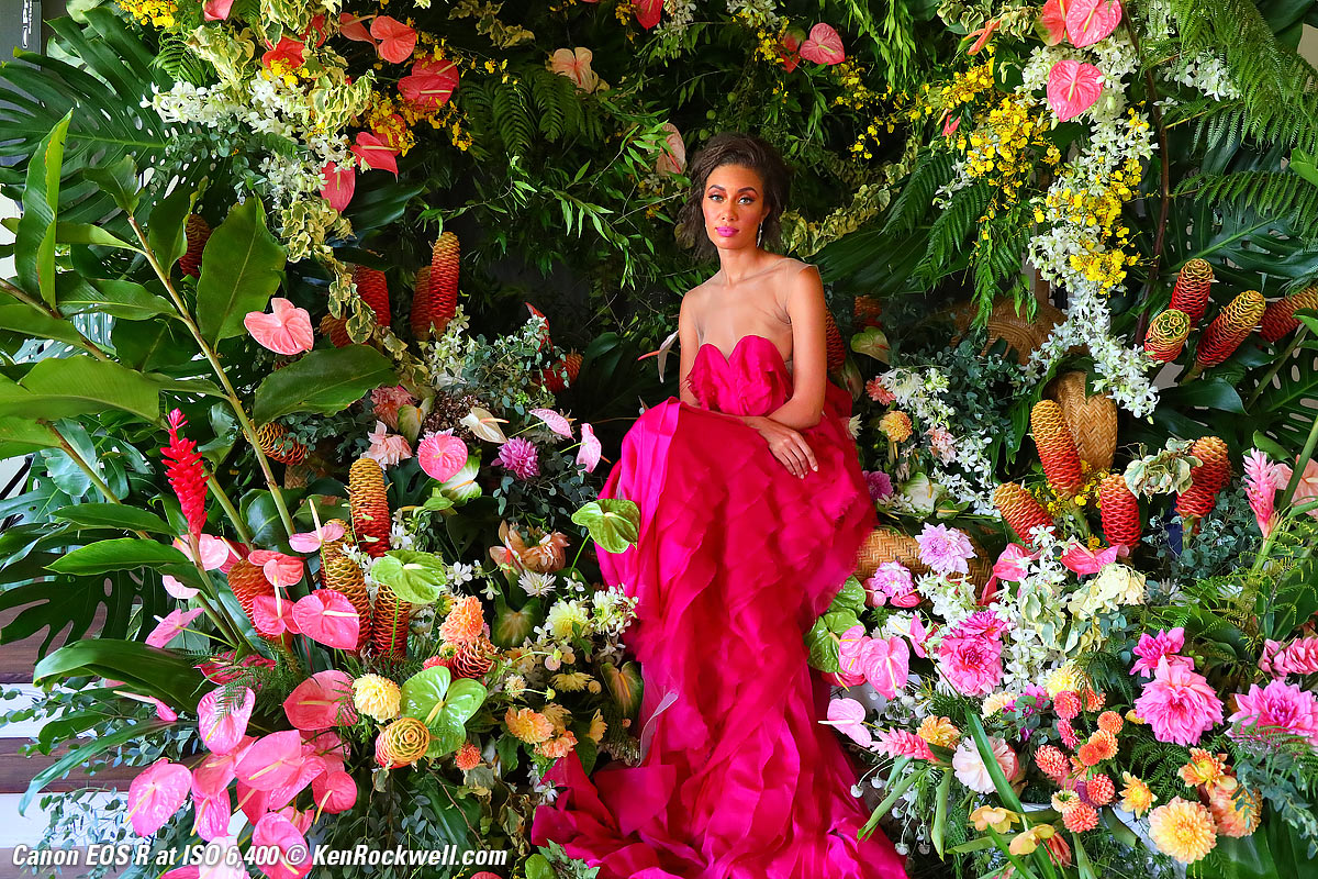 Canon EOS R High ISO Sample Image File