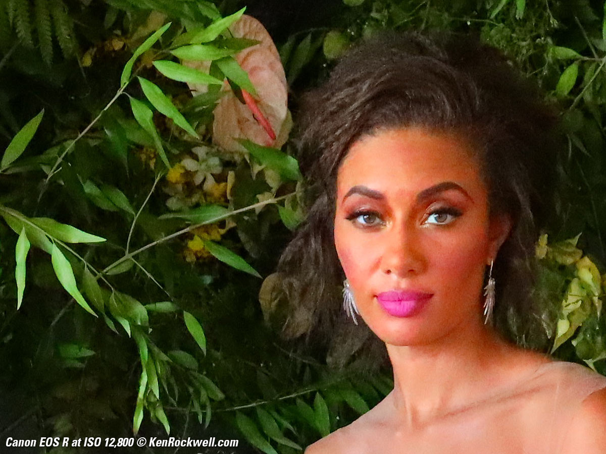 Canon EOS R High ISO Sample Image File