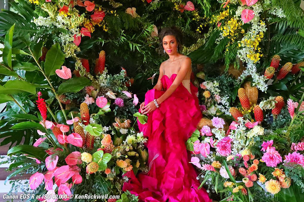 Canon EOS R High ISO Sample Image File