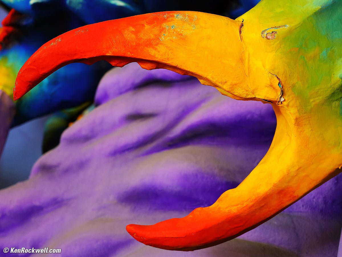 Canon EOS RP Sample Image