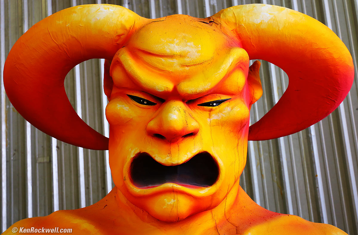 Canon EOS RP Sample Image