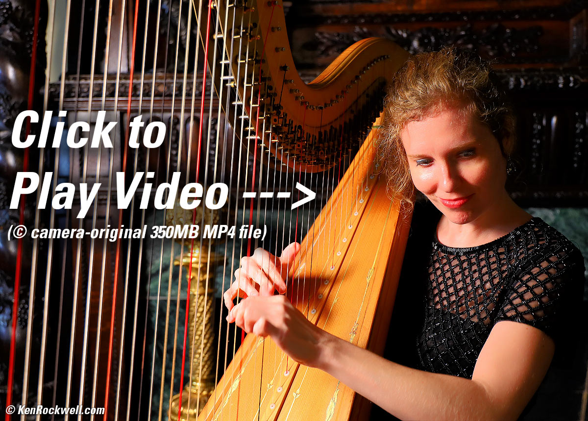 Canon EOS RP Sample Image