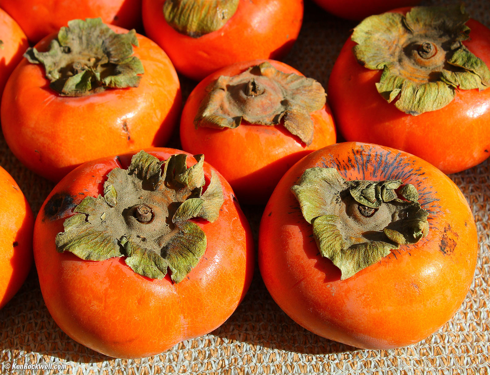 Canon T100 EOS 4000D Sample Image File