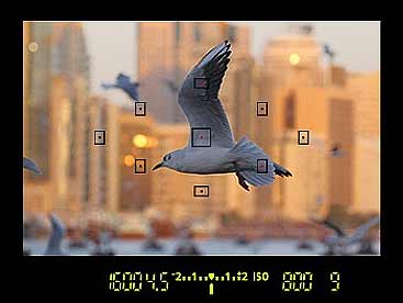 Canon T6 AF