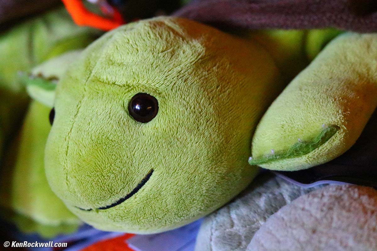 Mr Turtle, RP 08 Oct 2015