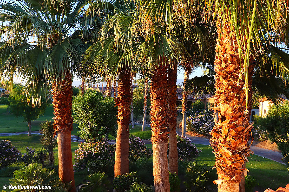 Canon T8i Sample Image File