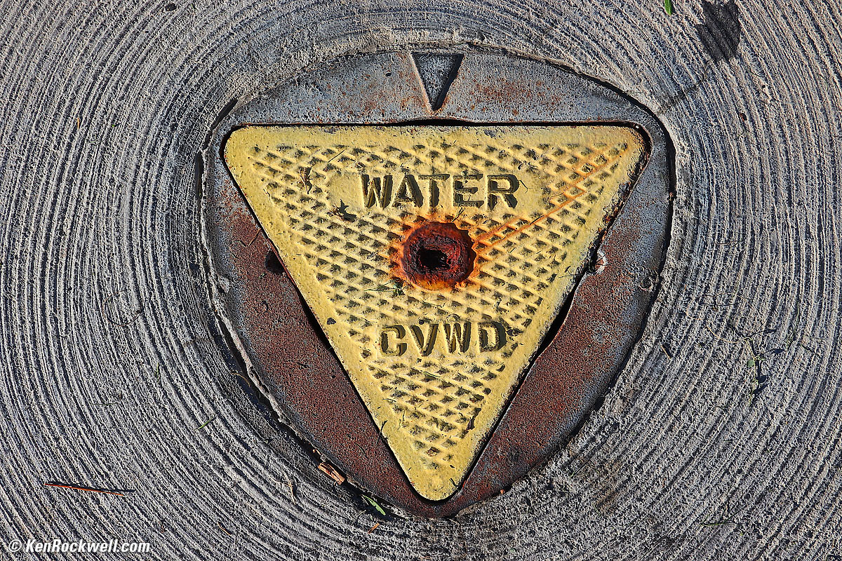 Canon T8i Sample Image File