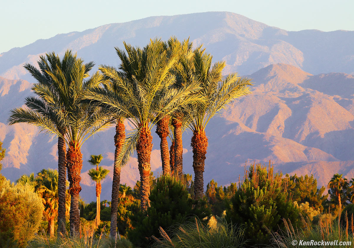 Canon T8i Sample Image File