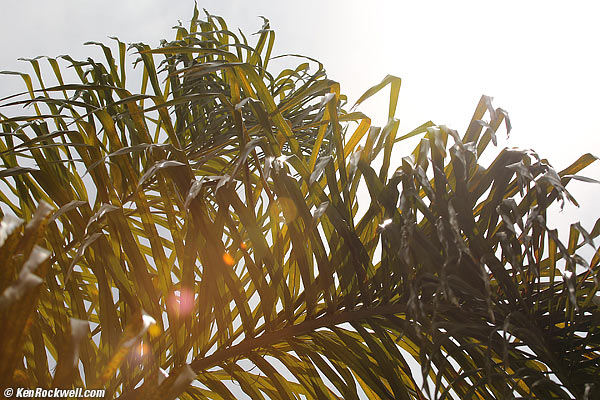 Canon 100-400mm ghosts