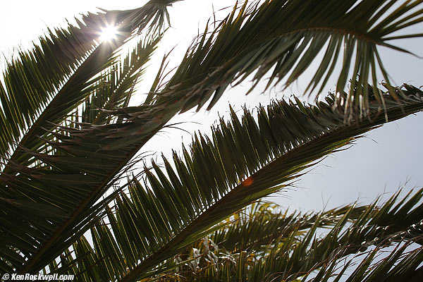 Canon 100-400 mm sunstar