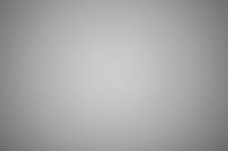 Canon EF 100mm f/2.8 Macro Falloff