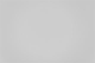 Canon EF 100mm f/2.8 Macro Falloff