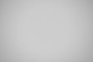 Canon EF 100mm f/2.8 Macro Falloff