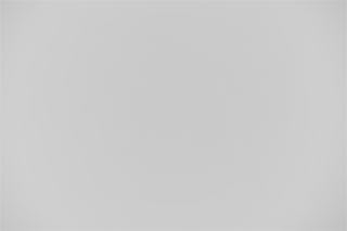 Canon EF 100mm f/2.8 Macro Falloff