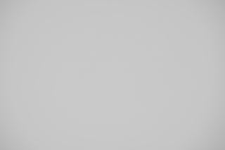 Canon EF 100mm f/2.8 Macro Falloff