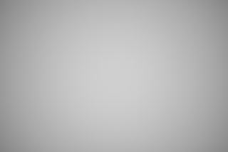 Canon EF 100mm f/2.8 Macro Falloff