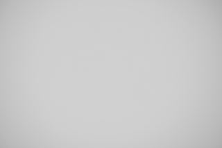 Canon EF 100mm f/2.8 Macro Falloff