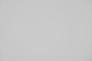 Canon EF 100mm f/2.8 Macro Falloff