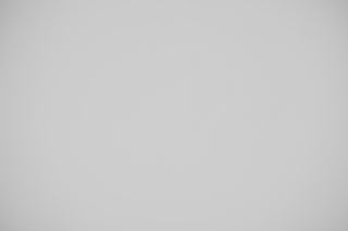 Canon EF 100mm f/2.8 Macro Falloff