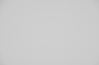 Canon EF 100mm f/2.8 Macro Falloff