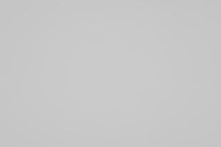 Canon EF 100mm f/2.8 Macro Falloff