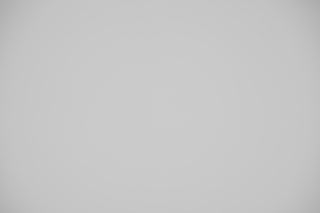 Canon EF 100mm f/2.8 Macro Falloff