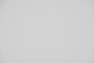 Canon EF 100mm f/2.8 Macro Falloff