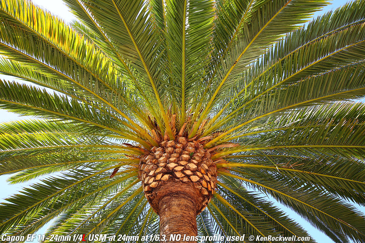 , Canon 11-24mm sample image