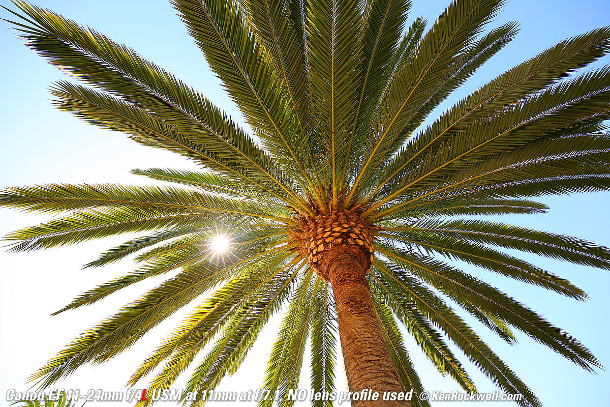 , Canon 11-24mm sample image