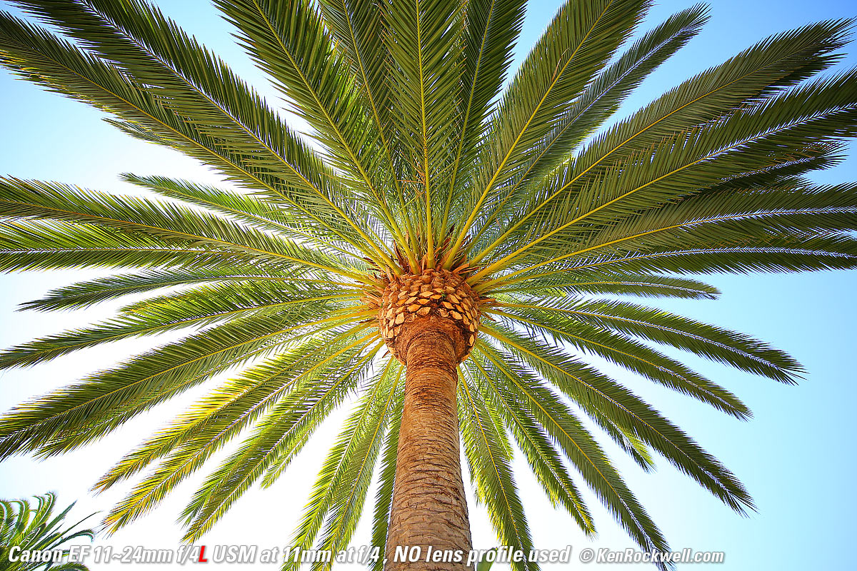 , Canon 11-24mm sample image