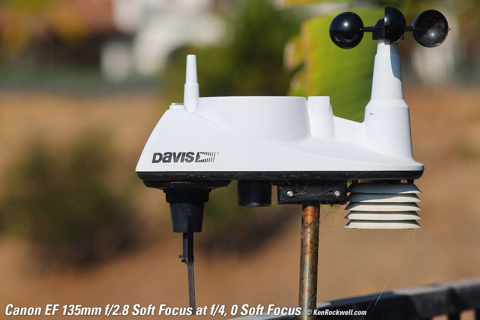 Canon EF 135mm f/2.8 Soft Focus Sample Image