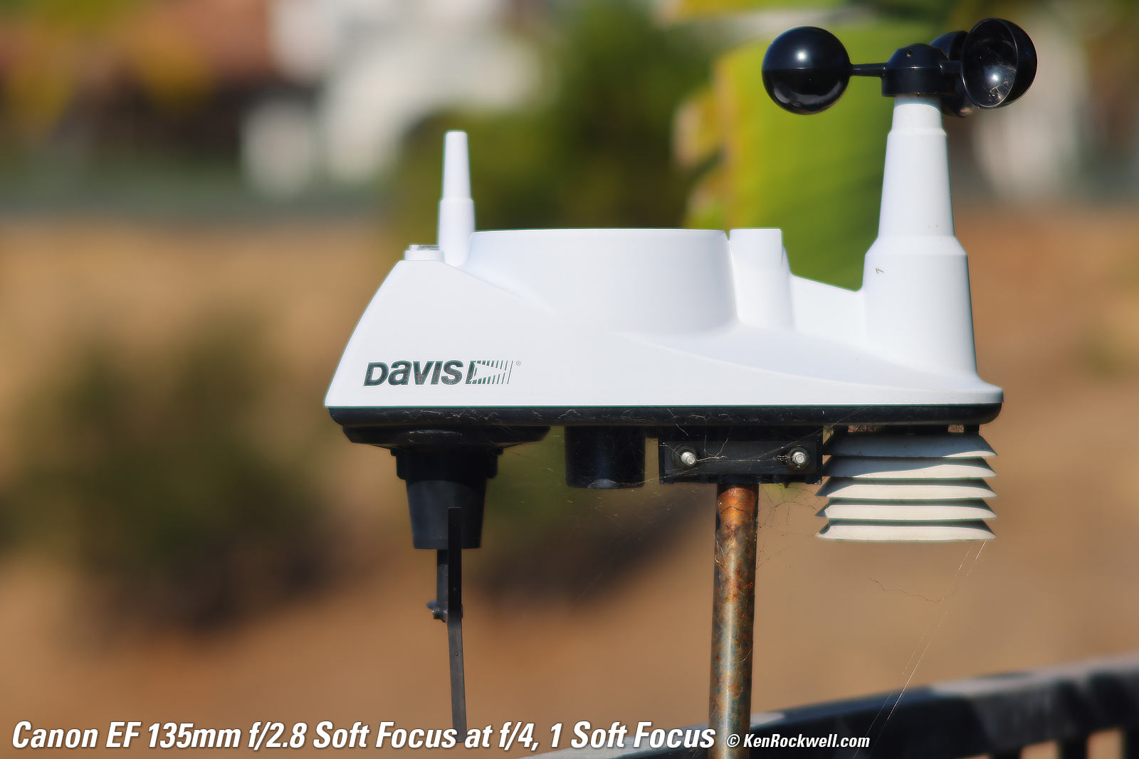 Canon EF 135mm f/2.8 Soft Focus Sample Image