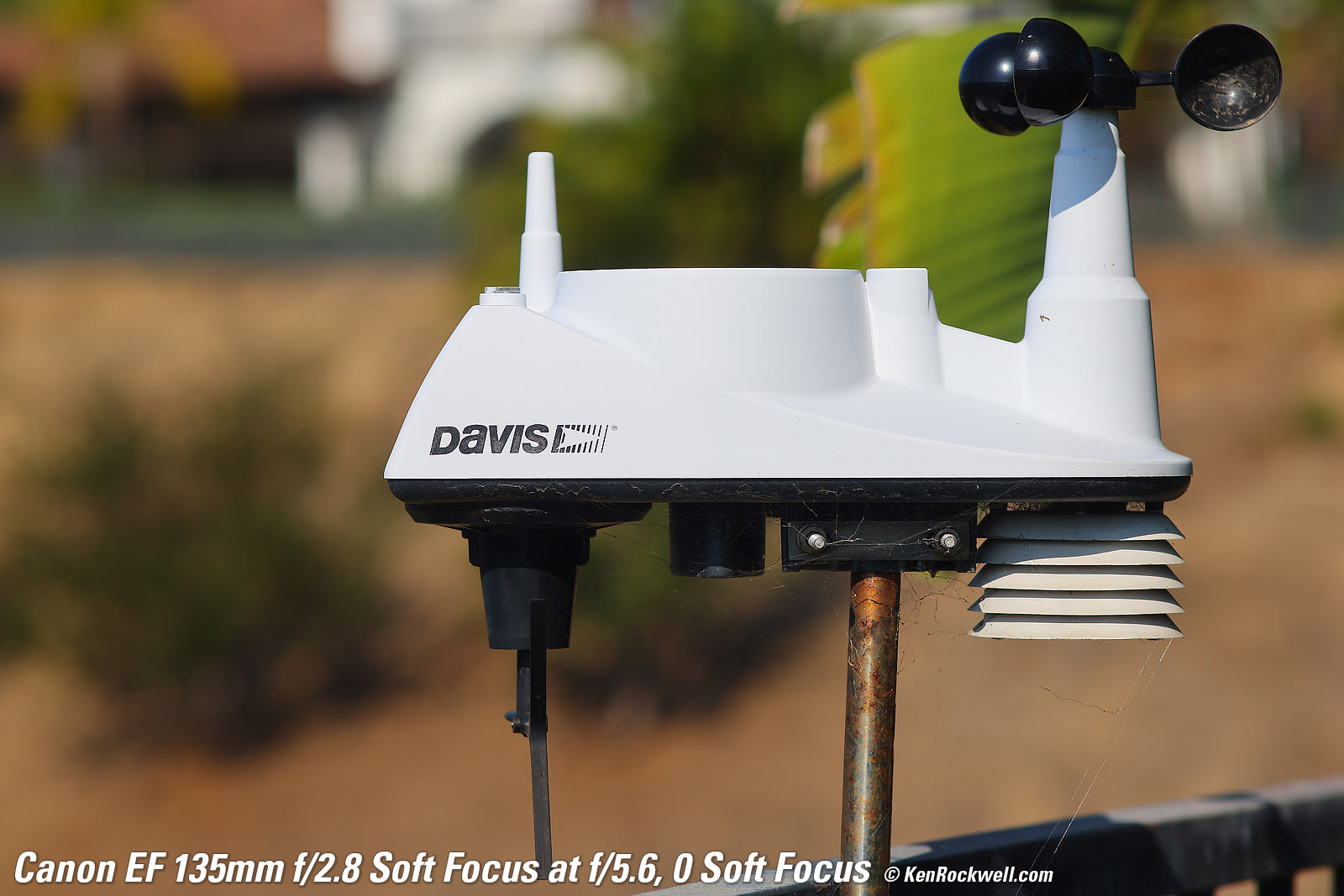 Canon EF 135mm f/2.8 Soft Focus Sample Image