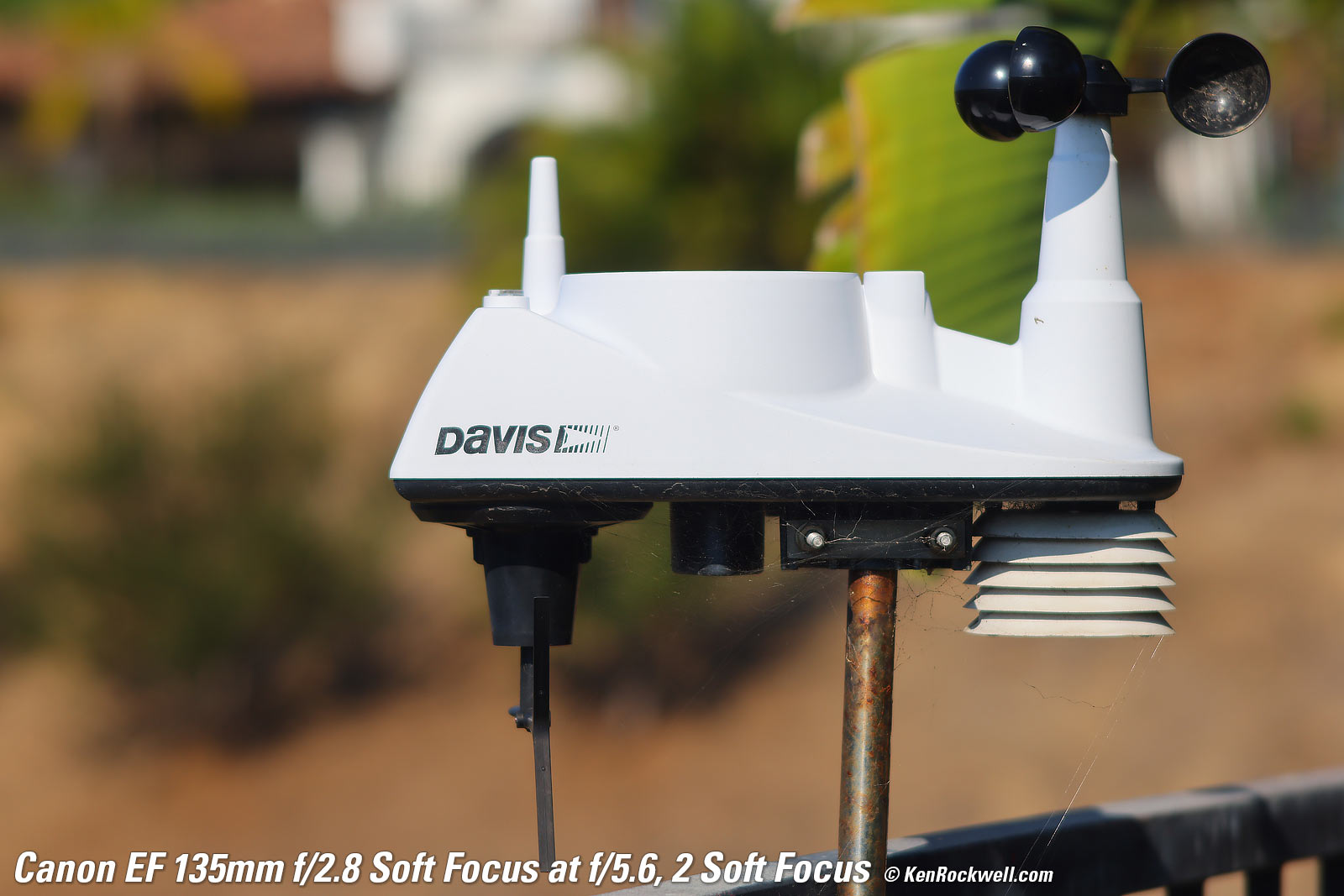 Canon EF 135mm f/2.8 Soft Focus Sample Image