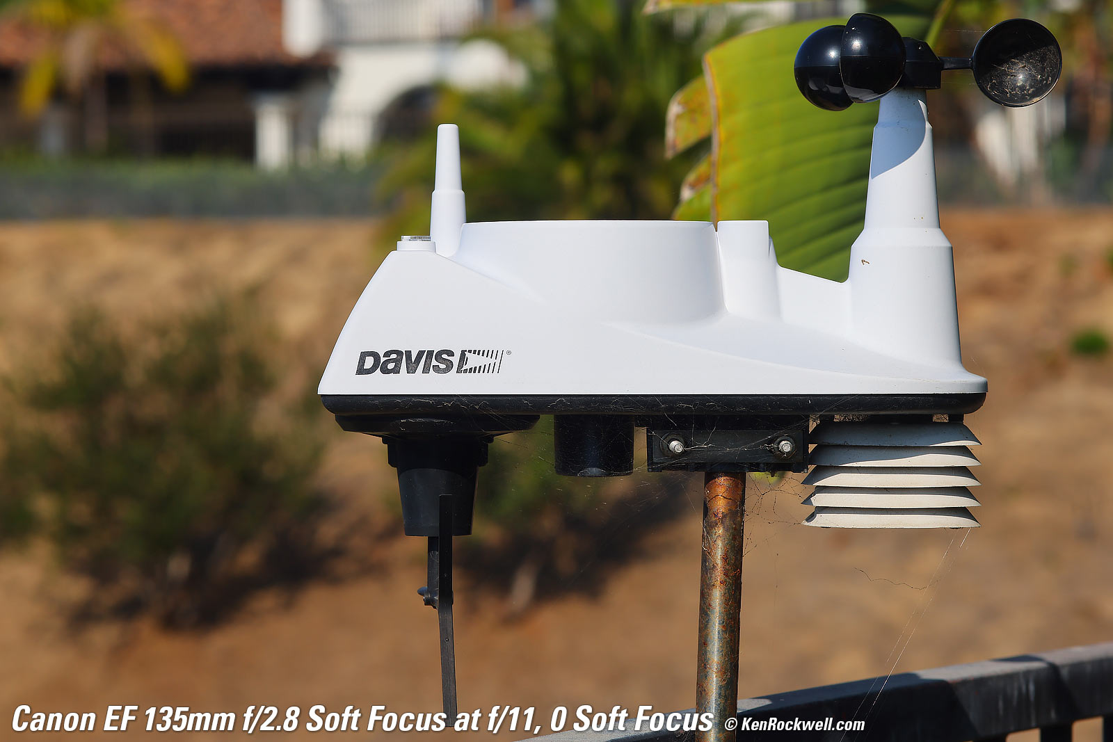 Canon EF 135mm f/2.8 Soft Focus Sample Image