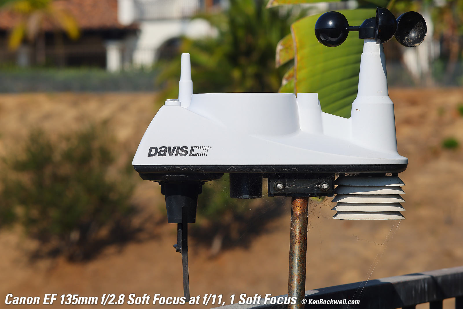 Canon EF 135mm f/2.8 Soft Focus Sample Image