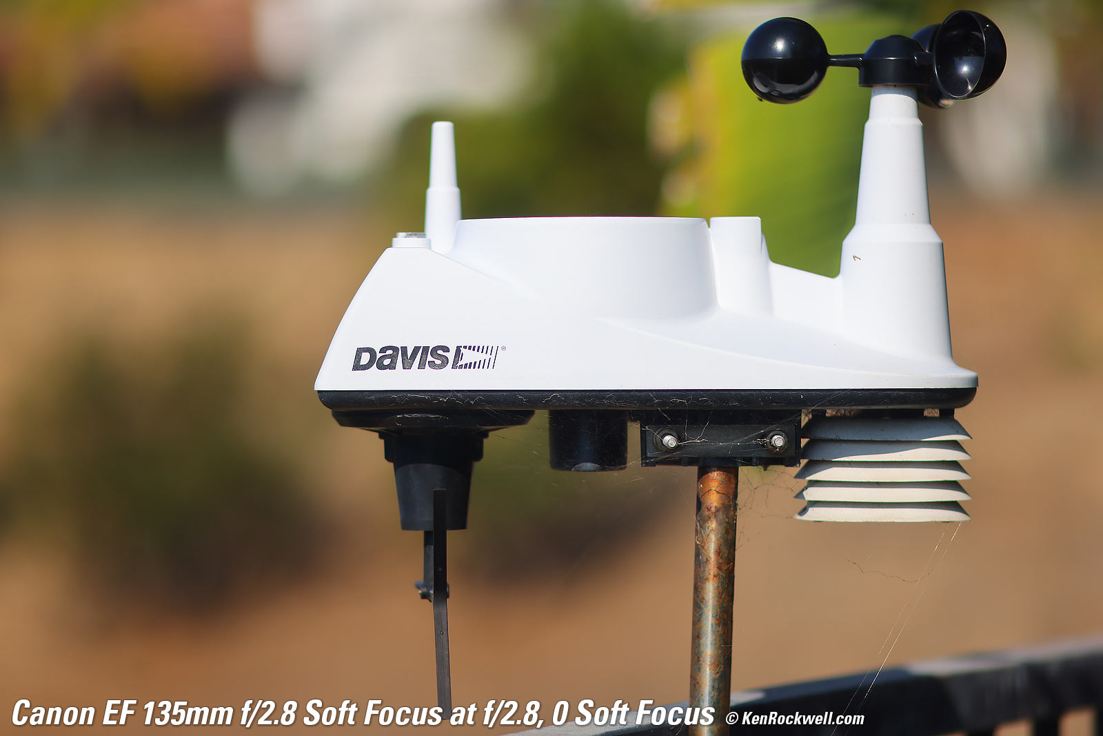 Canon EF 135mm f/2.8 Soft Focus Sample Image