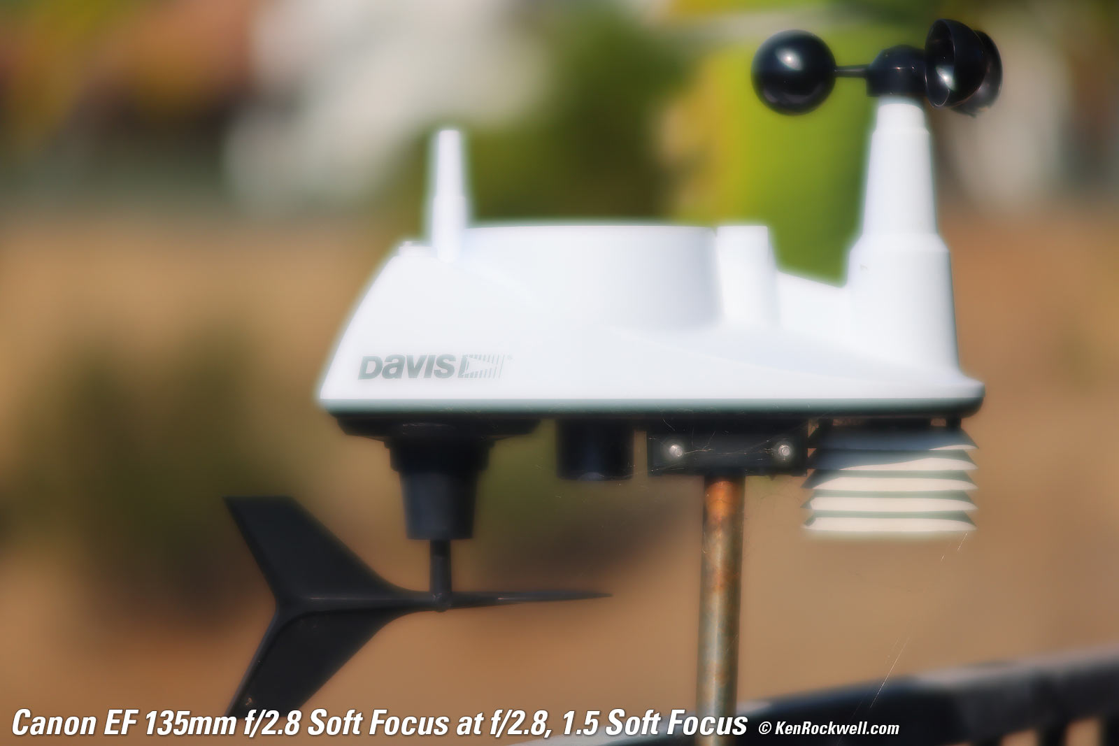 Canon EF 135mm f/2.8 Soft Focus Sample Image