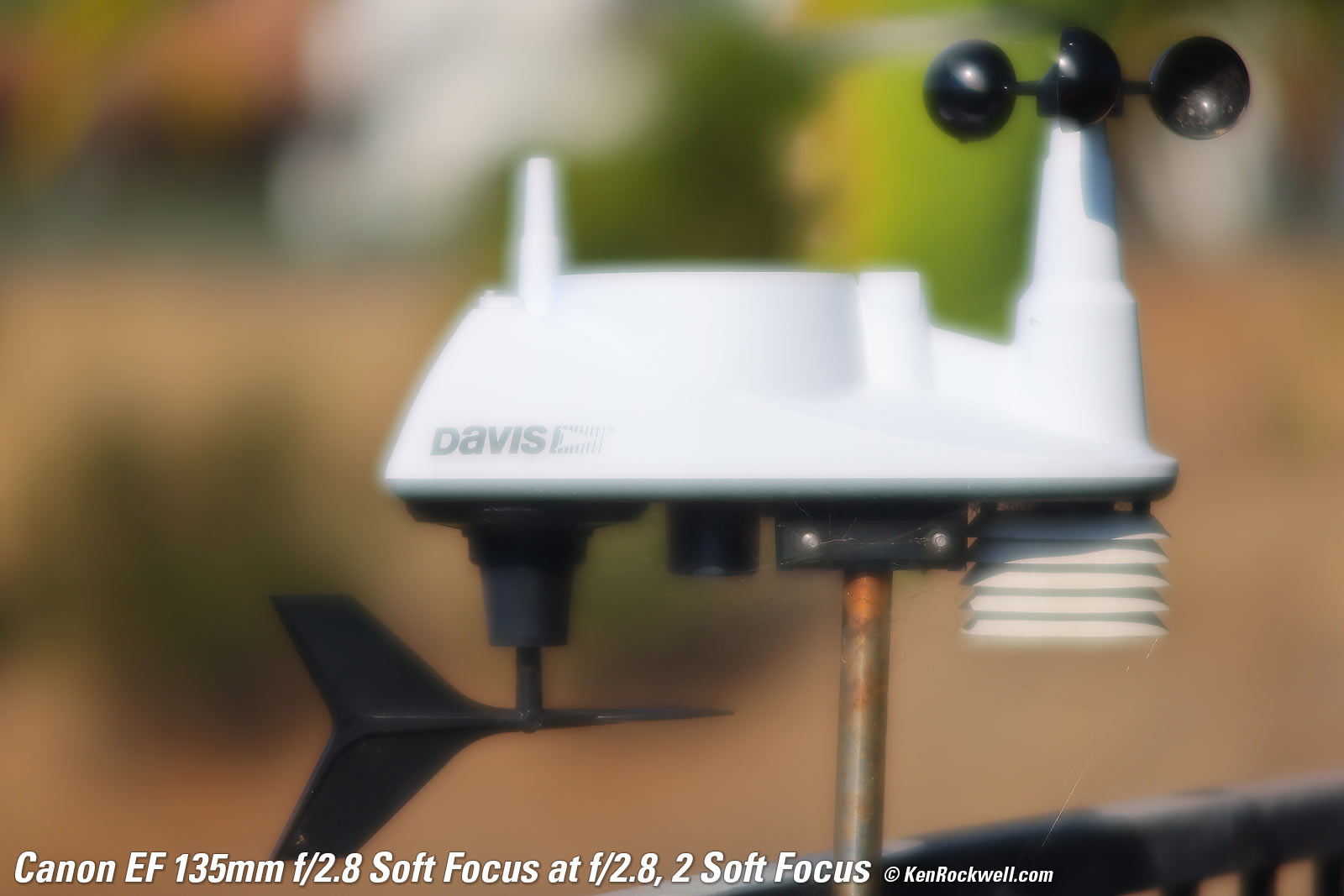 Canon EF 135mm f/2.8 Soft Focus Sample Image