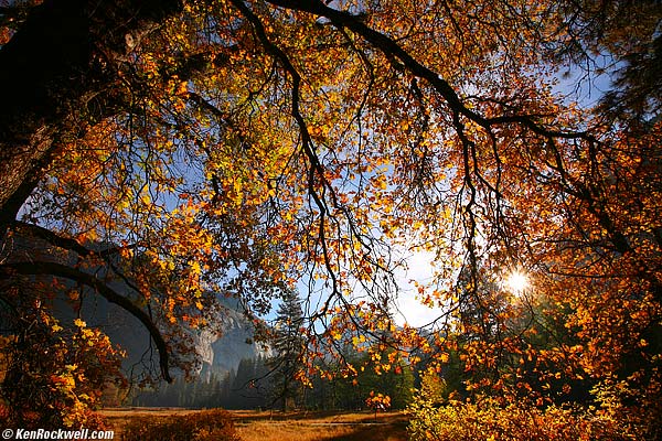 Canon 16-35mm II flare