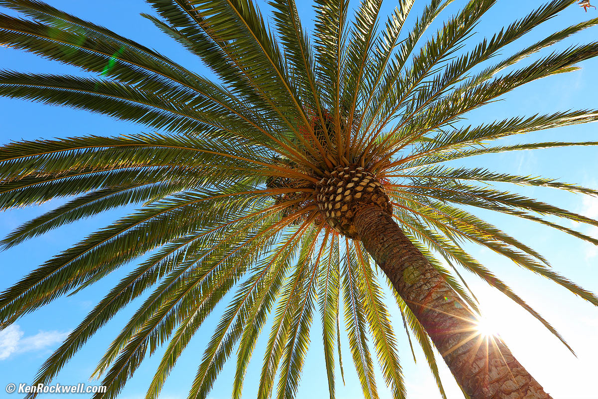 Canon 16-35mm f/2.8 L II