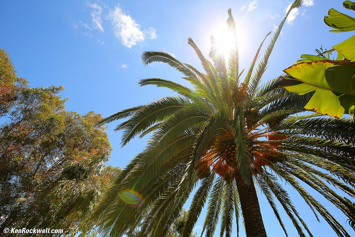 Canon 16-35mm ghosts