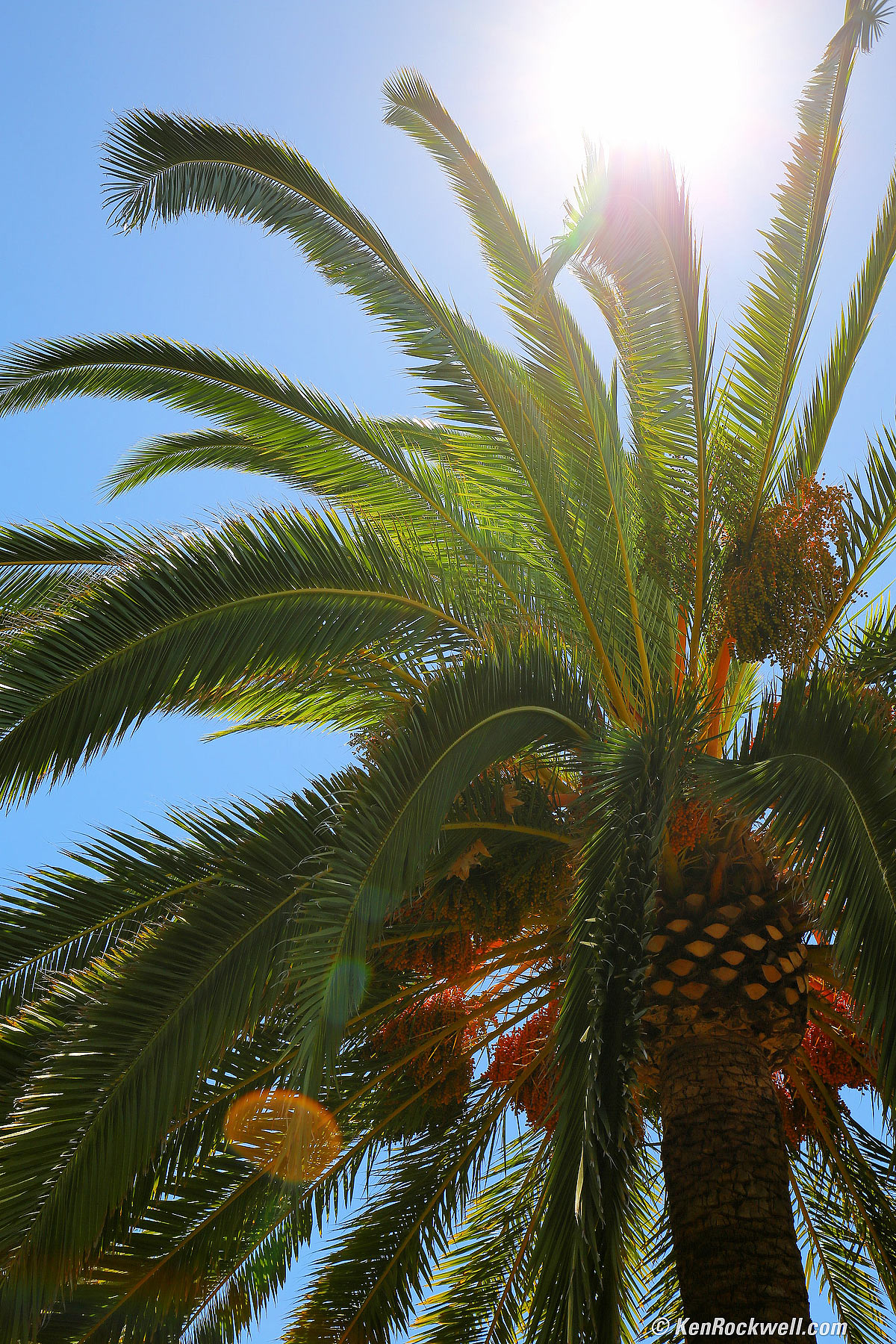 Canon 16-35mm ghosts