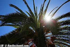 Canon 16-35mm IS Sunstars at f/8