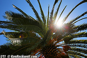 Canon 16-35mm IS Sunstars at f/8