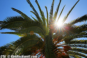 Canon 16-35mm IS Sunstars at f/8