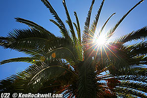 Canon 16-35mm IS Sunstars at f/8