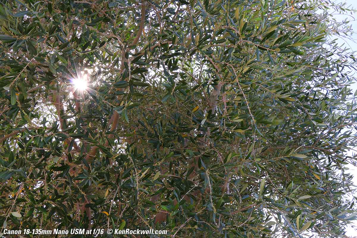 Canon 18-135mm USM Sunstars