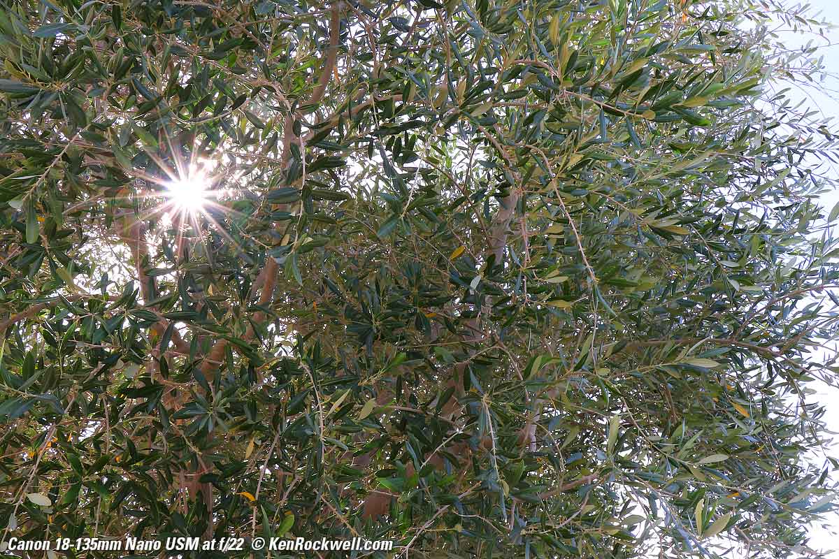 Canon 18-135mm USM Sunstars